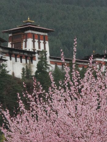 21 Days_Amazing Bhutan Tour